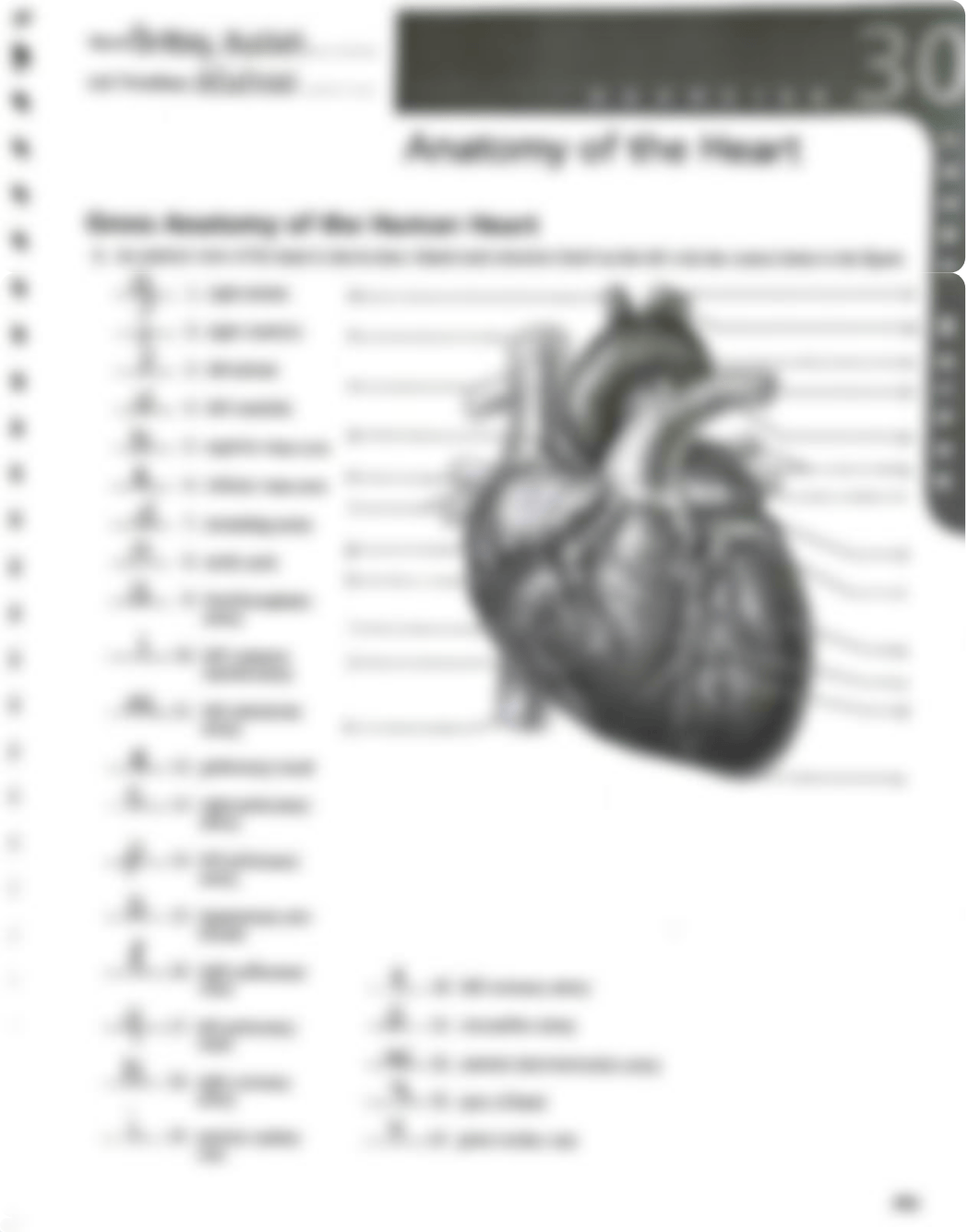 Anatomy of the heart.pdf_dh7ch9pgm8t_page1