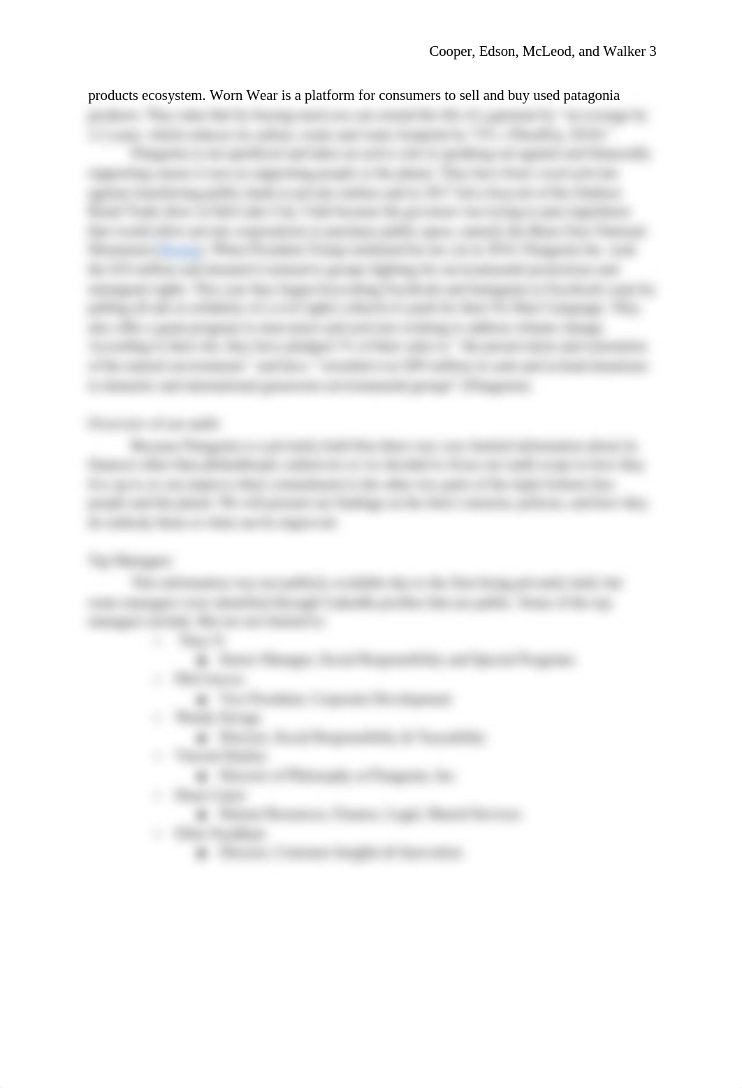 Patagonia_Audit_to_submit_dh7d18zkv8k_page3