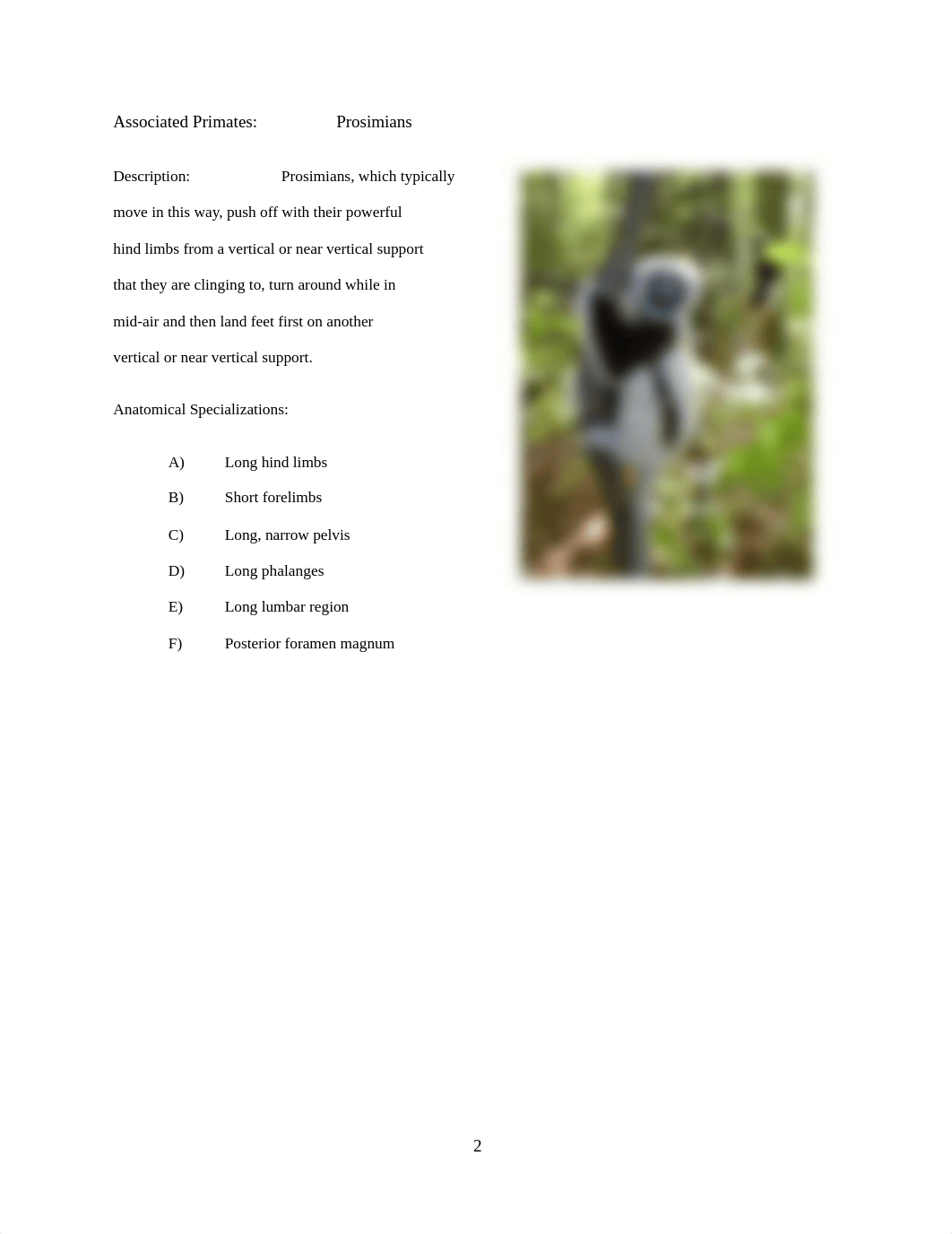 LAB_4_PRIMATE_ANATOMY.docx_dh7fwdkw2c5_page2