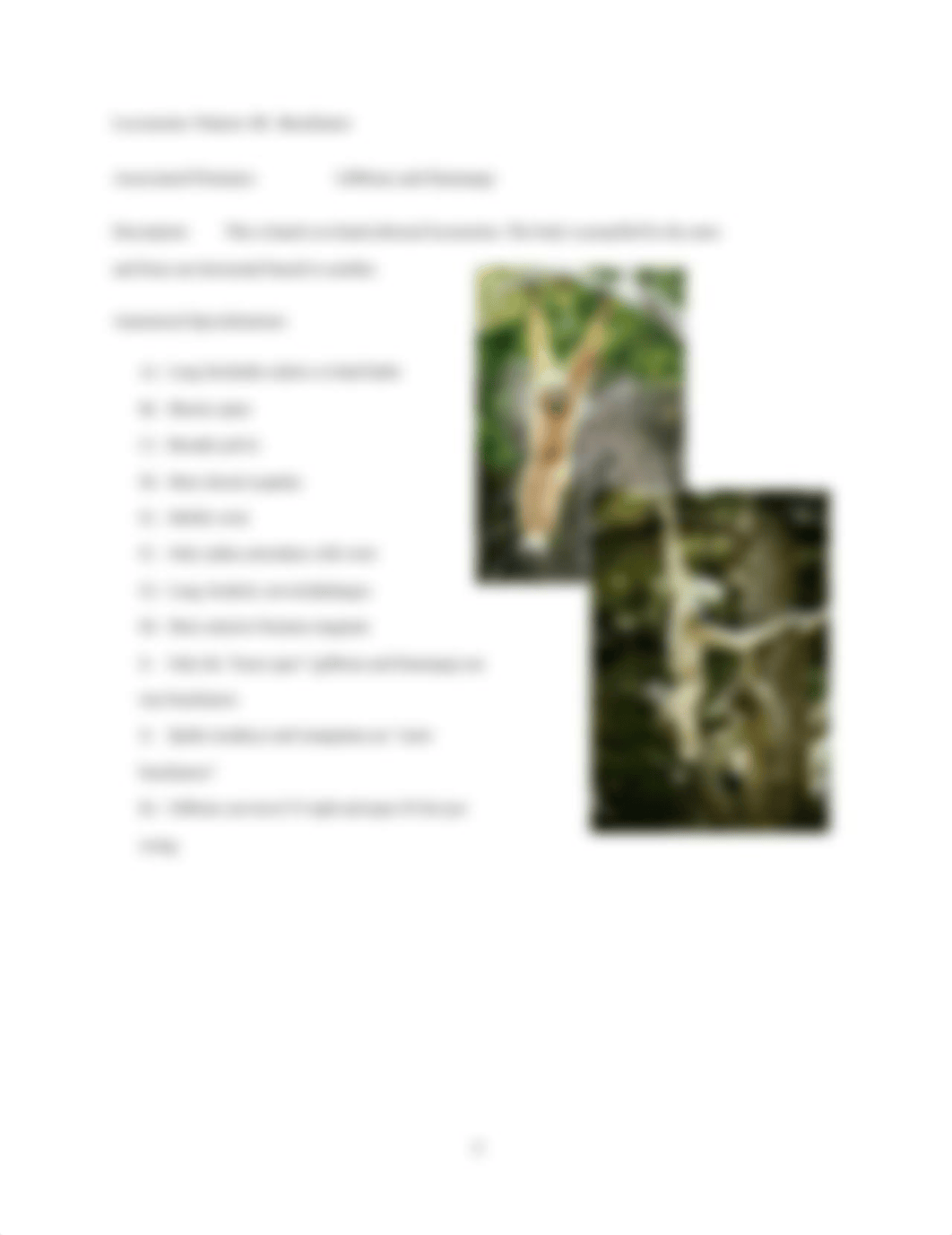 LAB_4_PRIMATE_ANATOMY.docx_dh7fwdkw2c5_page4