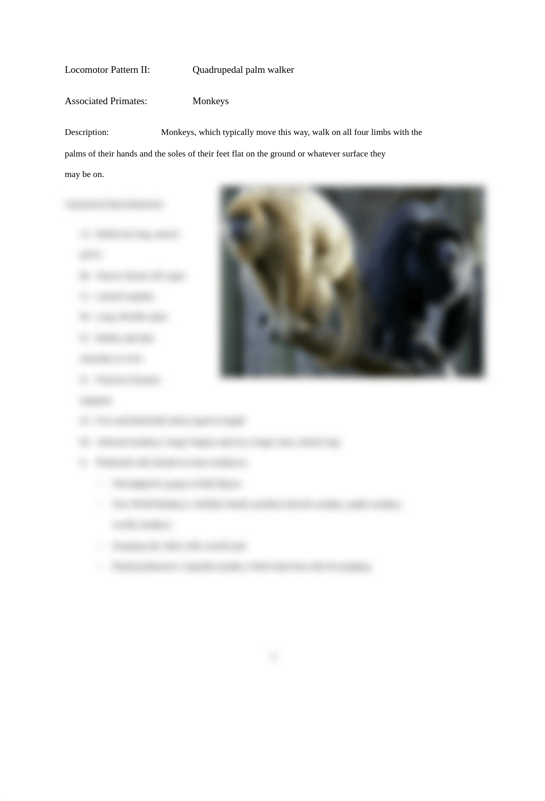 LAB_4_PRIMATE_ANATOMY.docx_dh7fwdkw2c5_page3