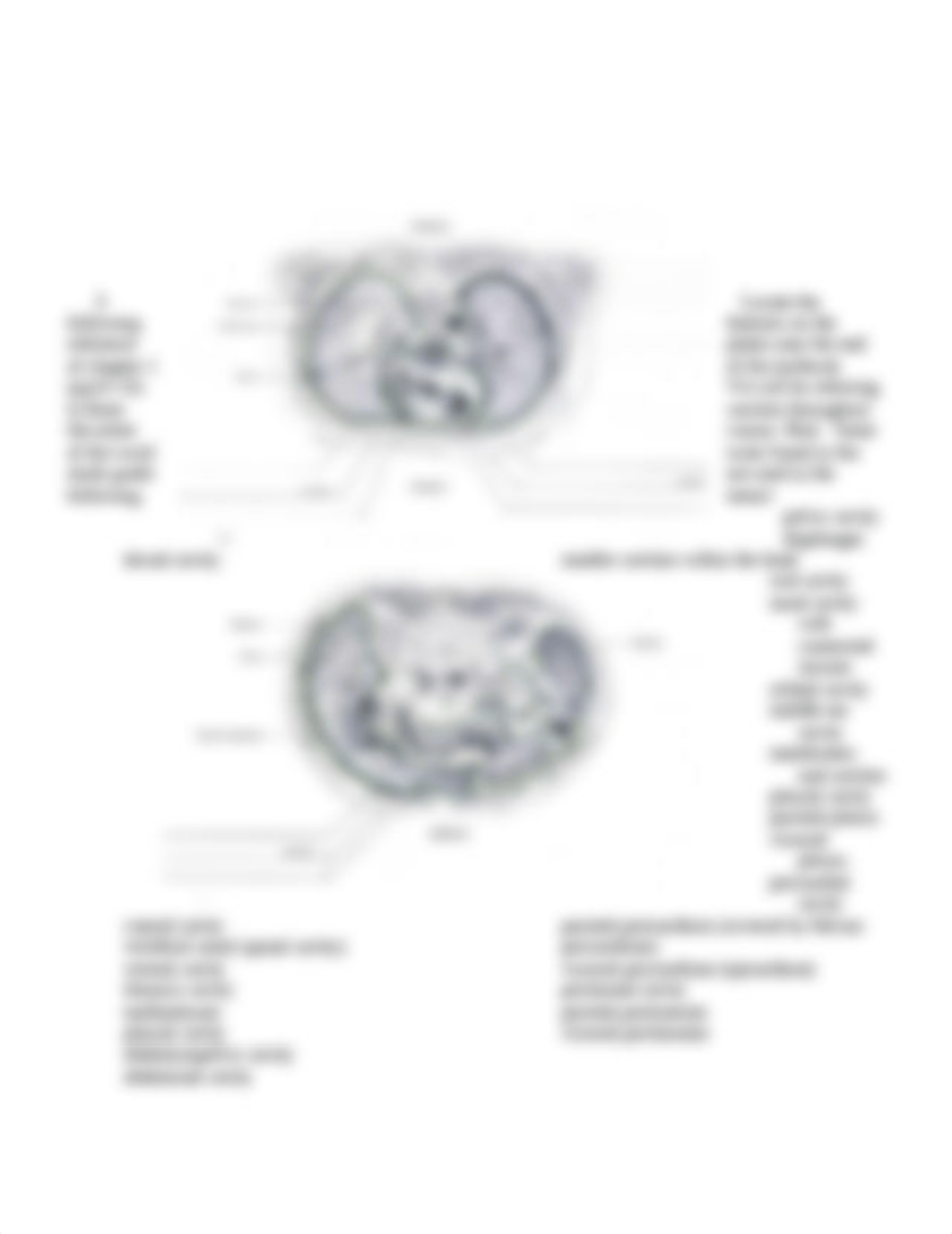 3 Body_Regions_structures_and_Systems-_Lab_Procedure_Rev[1]_dh7wkrpg8mc_page2