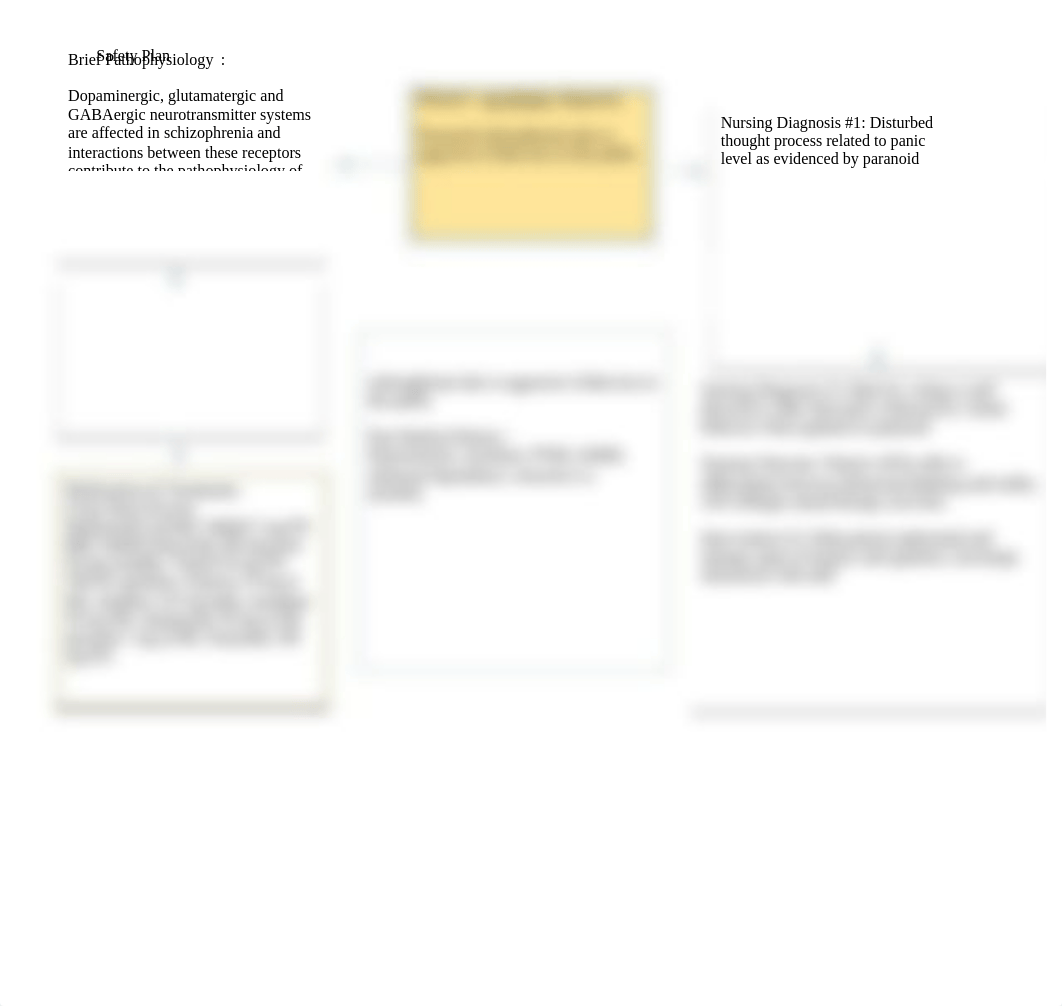 Concept Map.Safety Plan.docx_dh7xwwf4ikj_page1