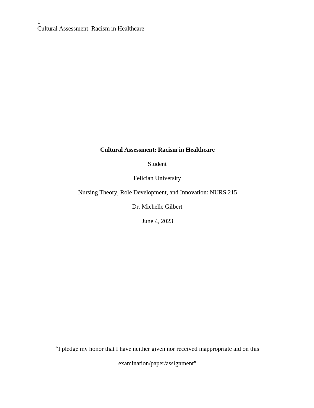 Nurs 215 Cultural Assessment paper.docx_dh80tojebq3_page1