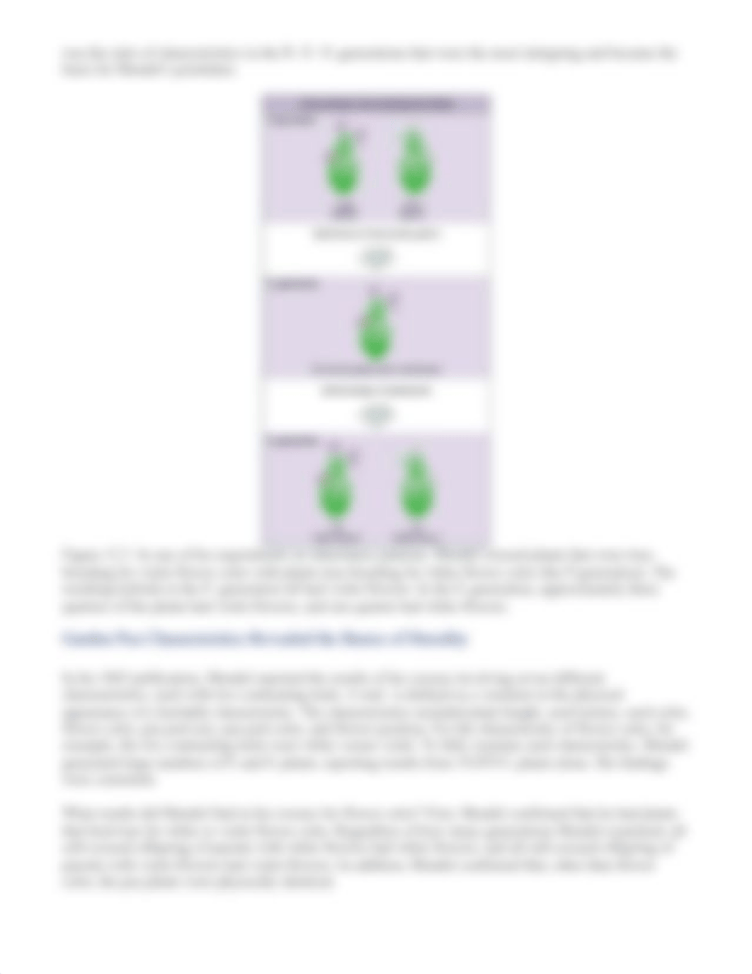 OpenStax Chapter 12 Mendel's Experiments and Heredity.pdf_dh82zrnehjd_page3