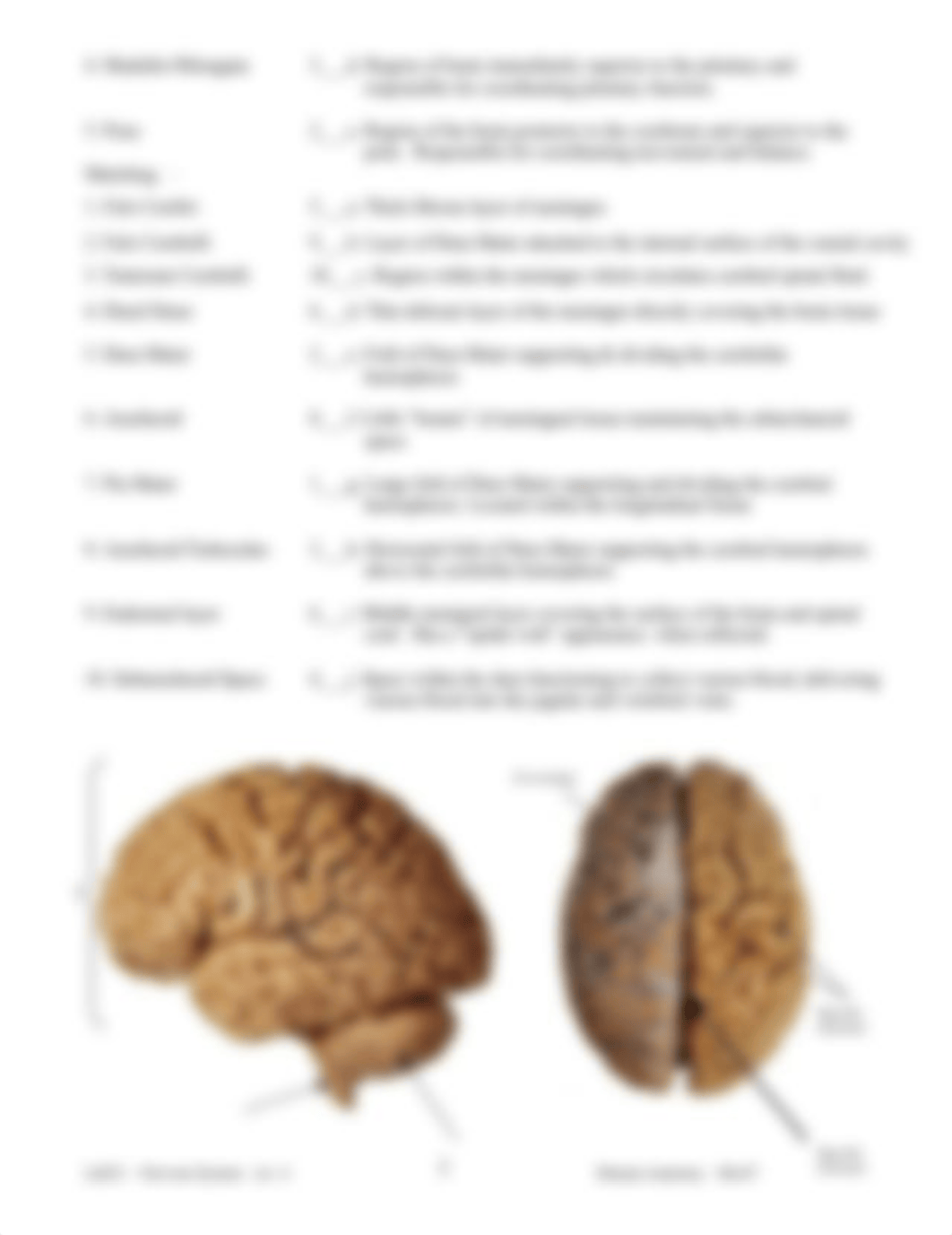 Bio47-Lab23-Key_dh83vhrj87j_page2