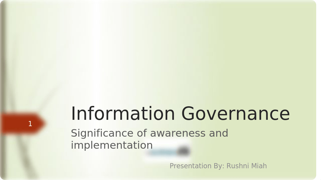 Information Governance PP.pptx_dh84an0ugz2_page1