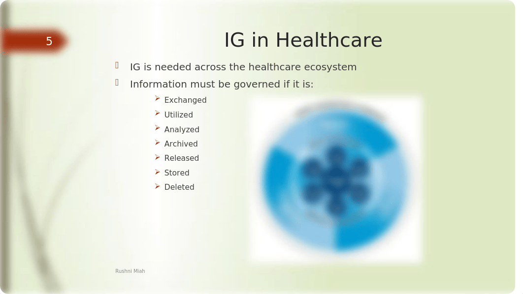 Information Governance PP.pptx_dh84an0ugz2_page5