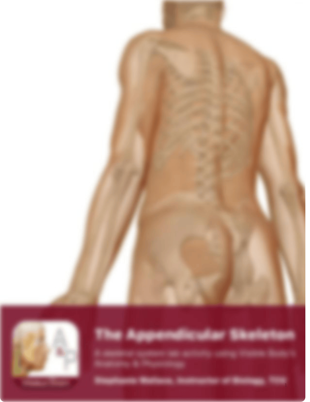 appendicular skeleton lab manual.pdf_dh8ealq49nn_page1