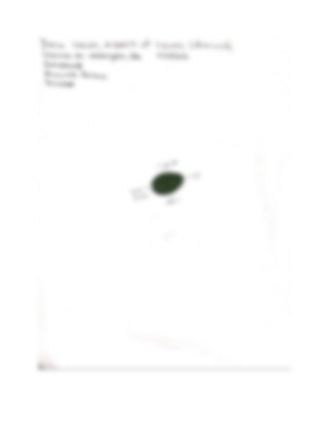 Leaf Collection Final Project.docx_dh8lqx1zht4_page3