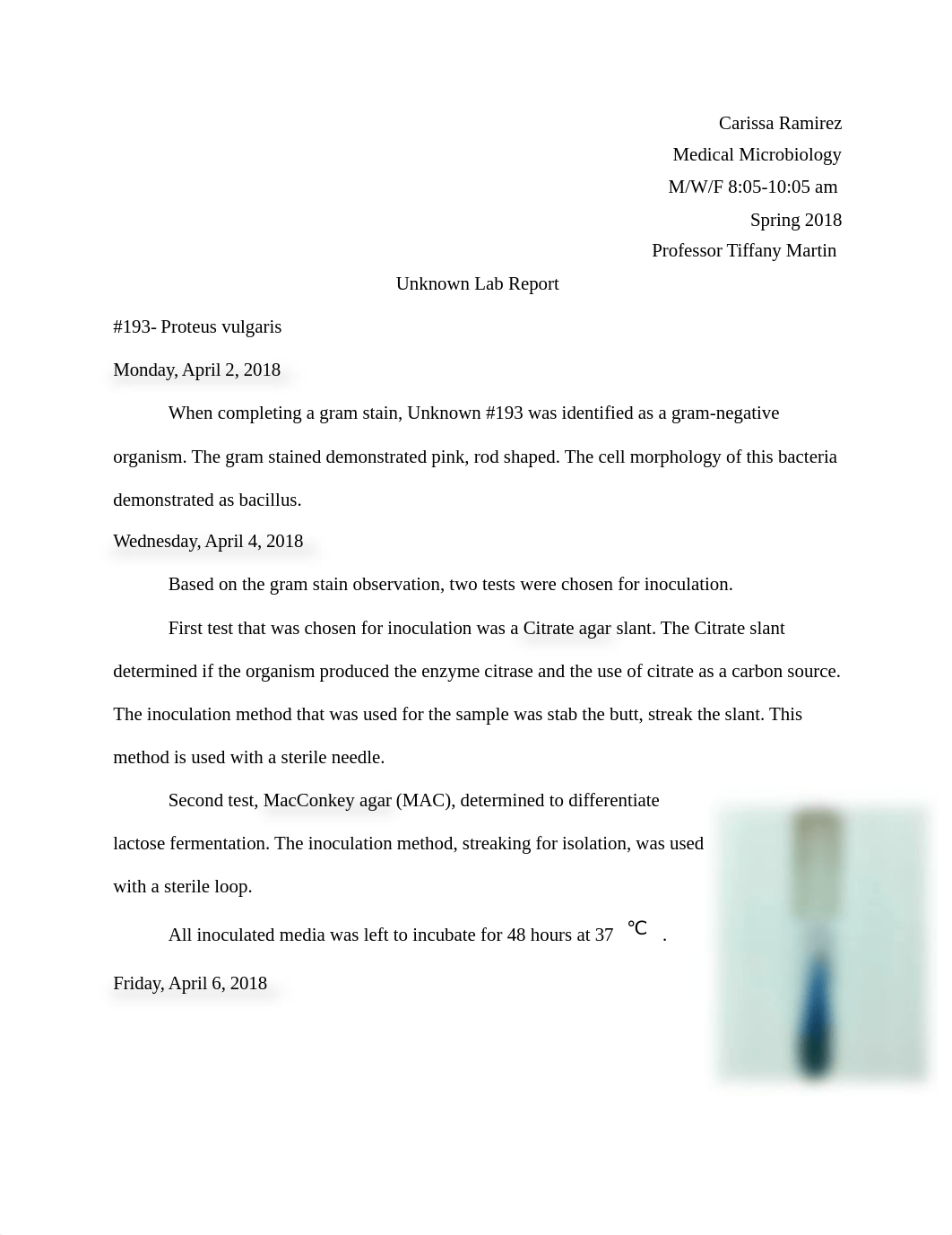 Unknown Lab Report #2.docx_dh8rdklplek_page1