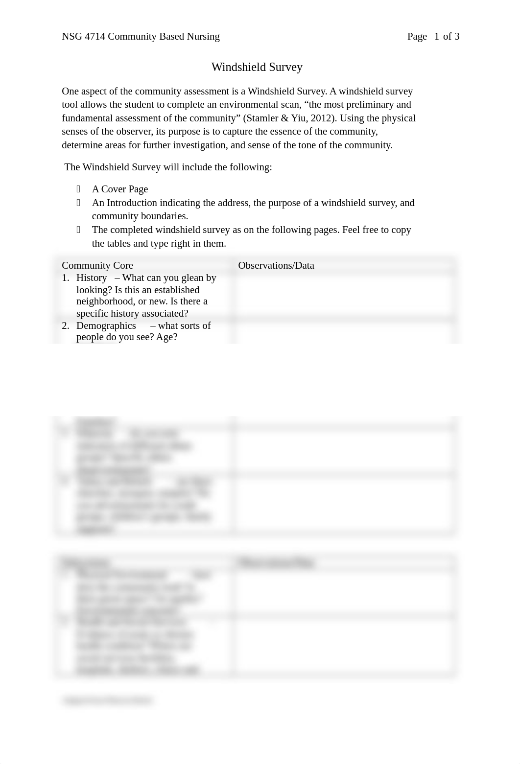 Windshield Survey Form (1).docx_dh8rwkjq3q4_page1