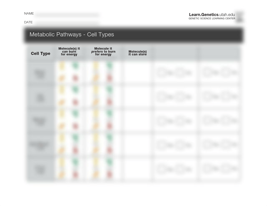 MetabolicPathways_CellTypes.pdf_dh94kz6t7wu_page1