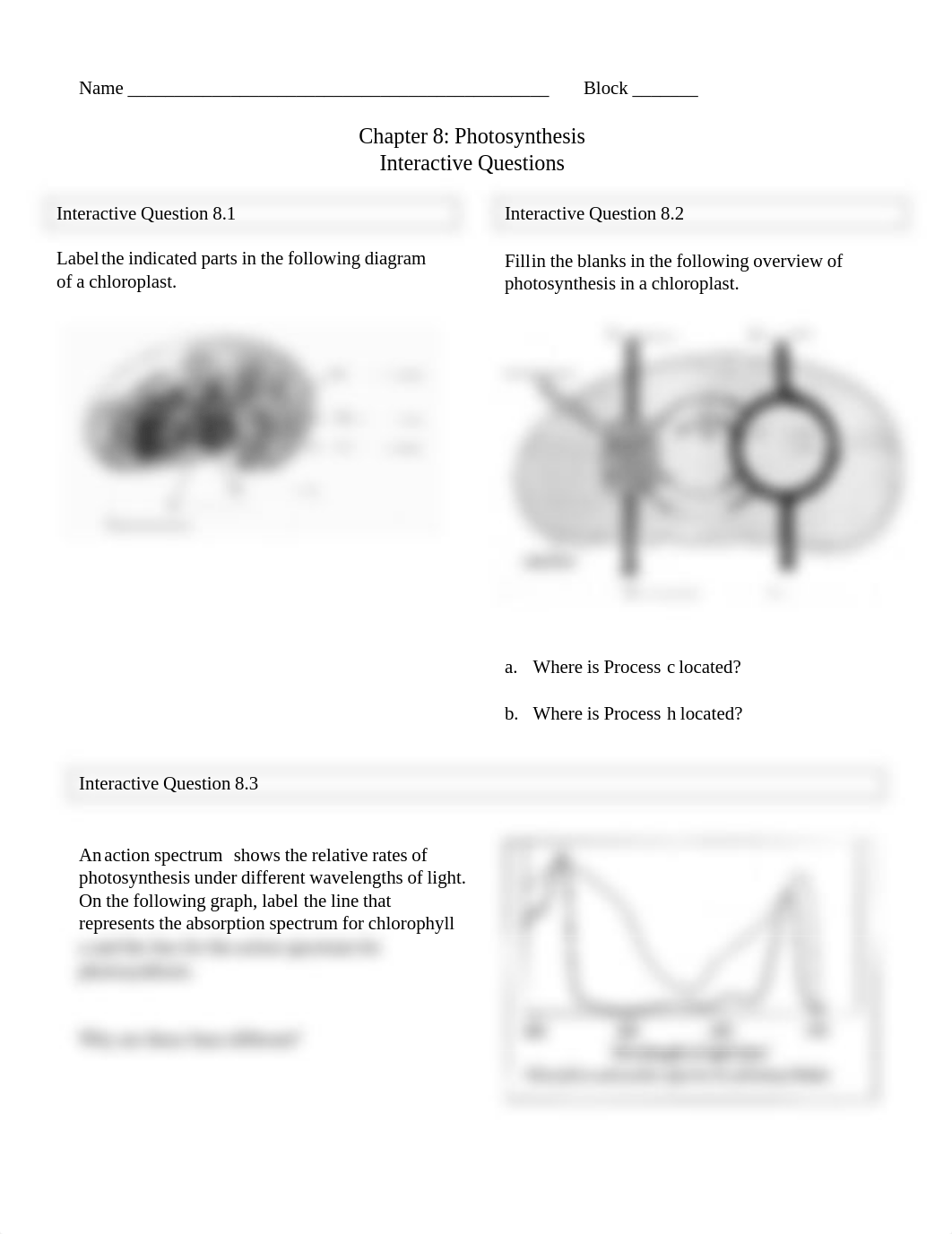 Ch. 8 Interactive Questions.pdf_dh9al7rm4lf_page1