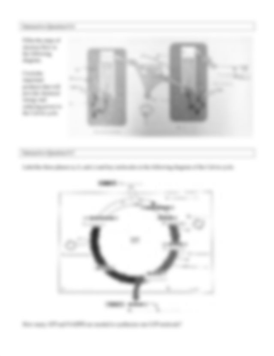 Ch. 8 Interactive Questions.pdf_dh9al7rm4lf_page2