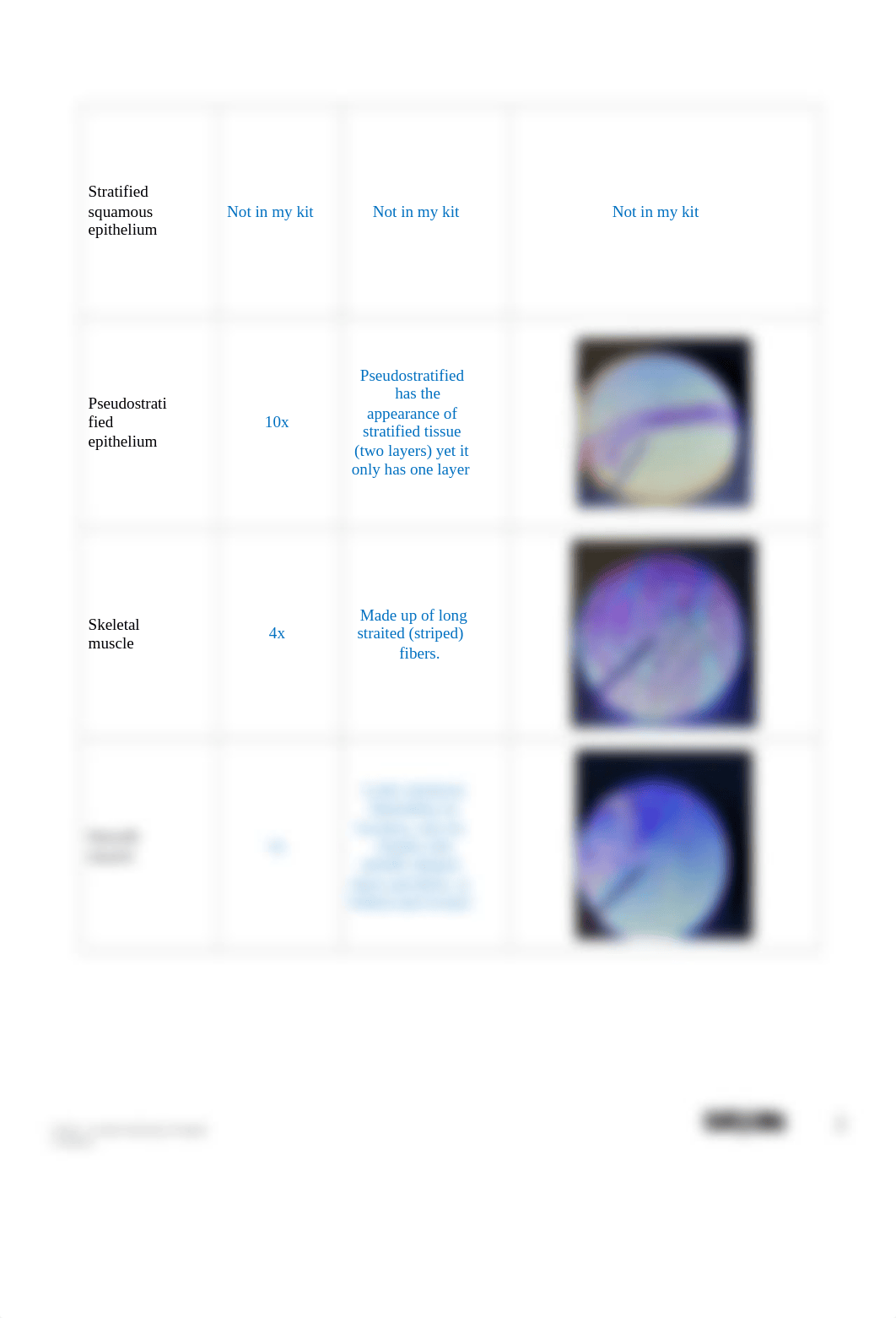 BIO201 Introduction to Histology_AnswerSheet.docx_dh9dno0dprz_page2