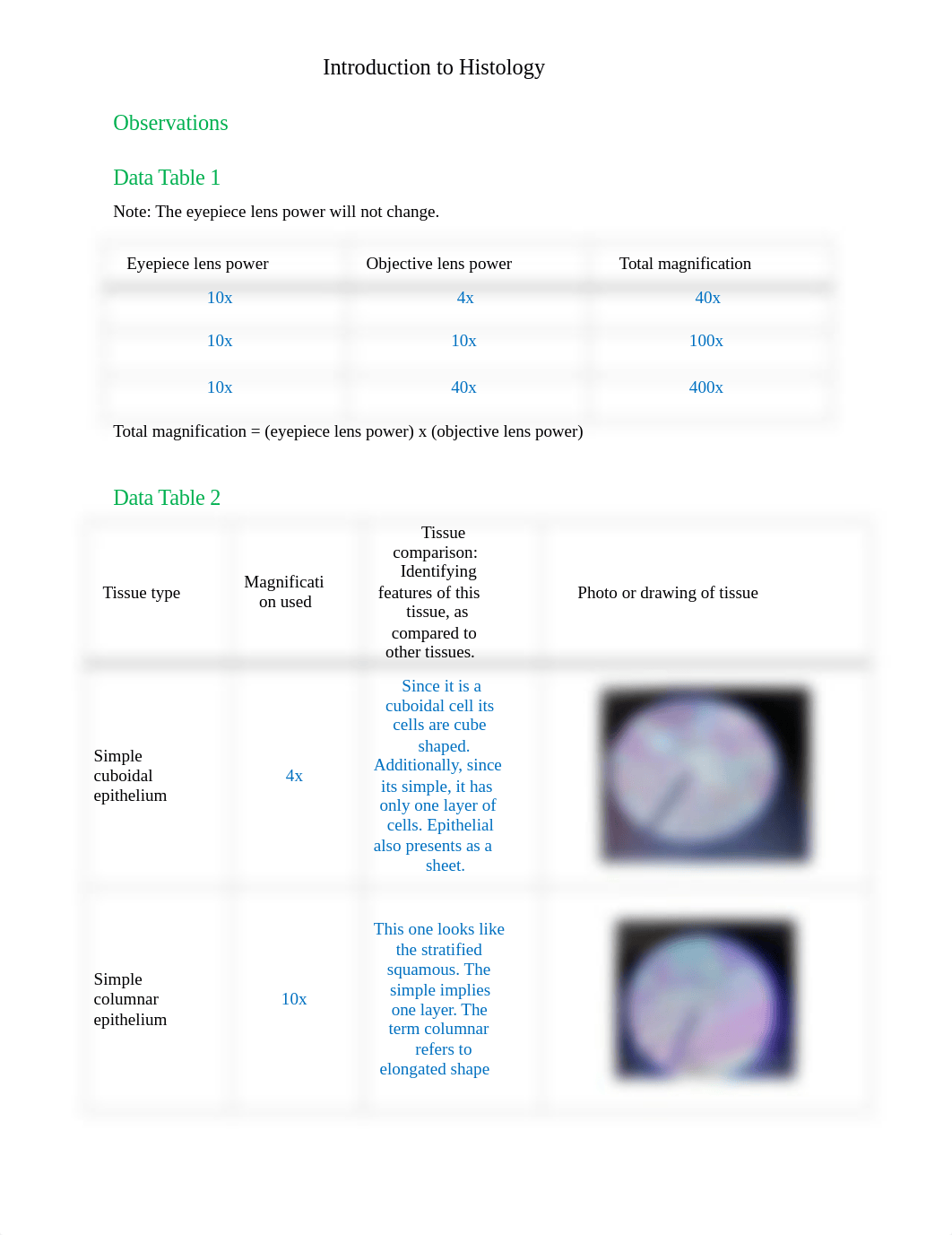 BIO201 Introduction to Histology_AnswerSheet.docx_dh9dno0dprz_page1