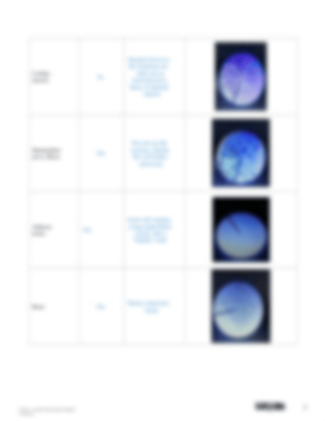 BIO201 Introduction to Histology_AnswerSheet.docx_dh9dno0dprz_page3