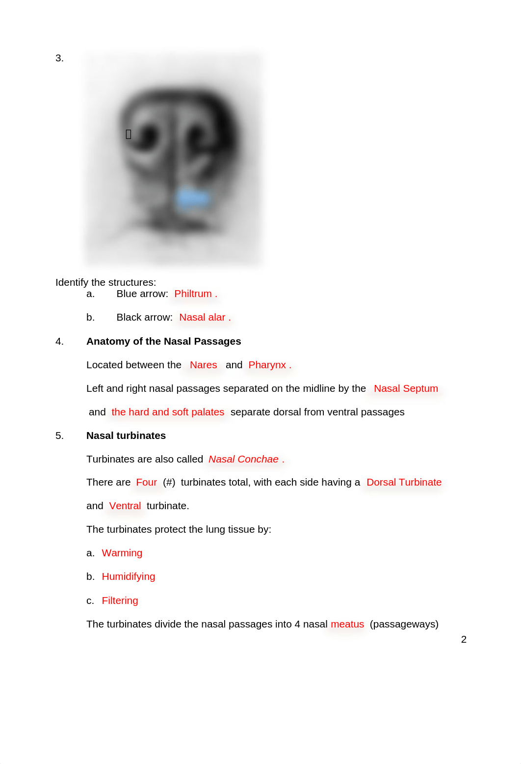 ASSN 10.3 RESPIRATORY STRUCTURE AND FUNCTION KEY.docx_dh9kuy0k41l_page2