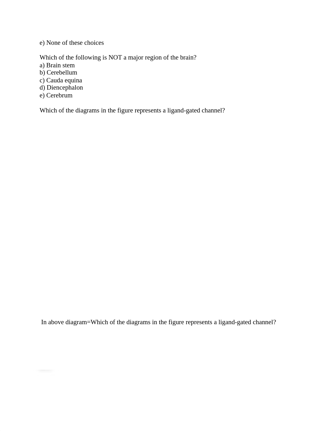 prqactise test 12-14no answers_dh9yfzco7w8_page4