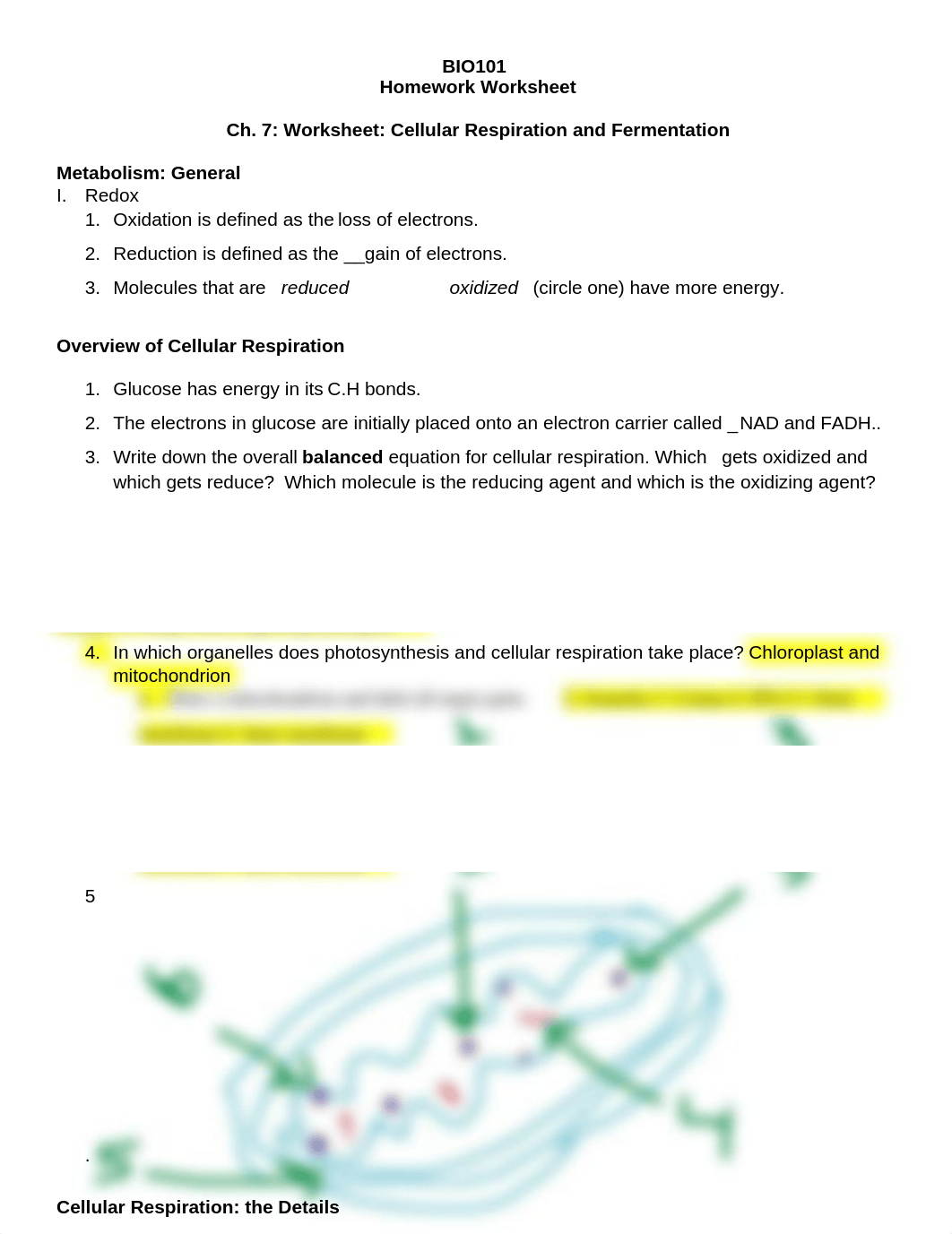 Ch7_WS.docx_dhahcevh4gz_page1