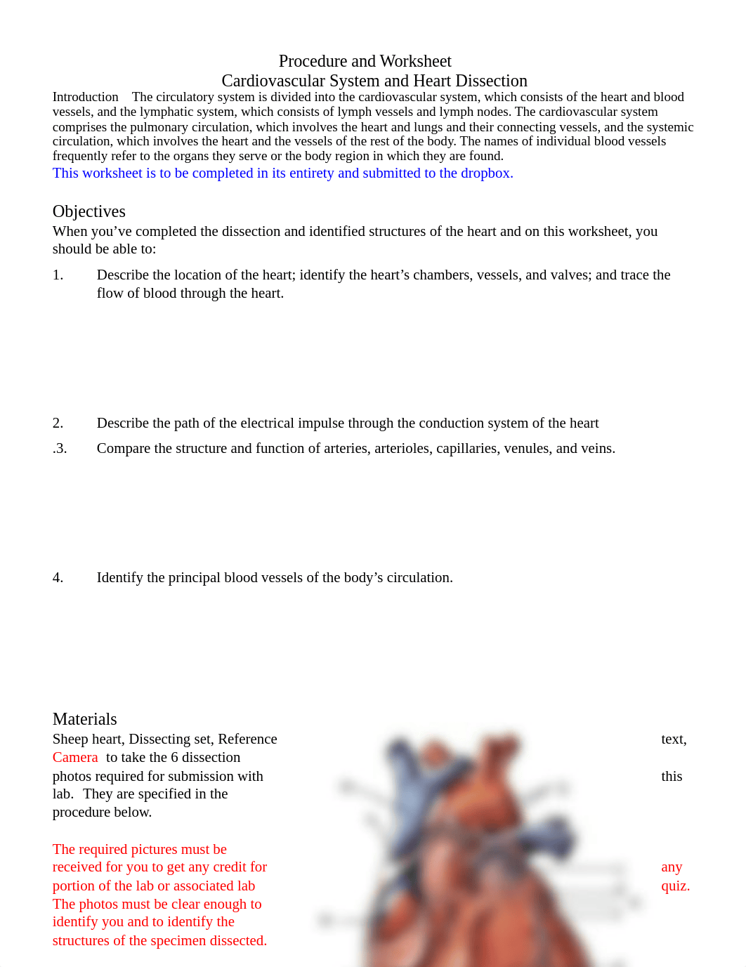 Heart DIssection and Worksheet (3) 2.pdf_dhajjs8iimf_page1