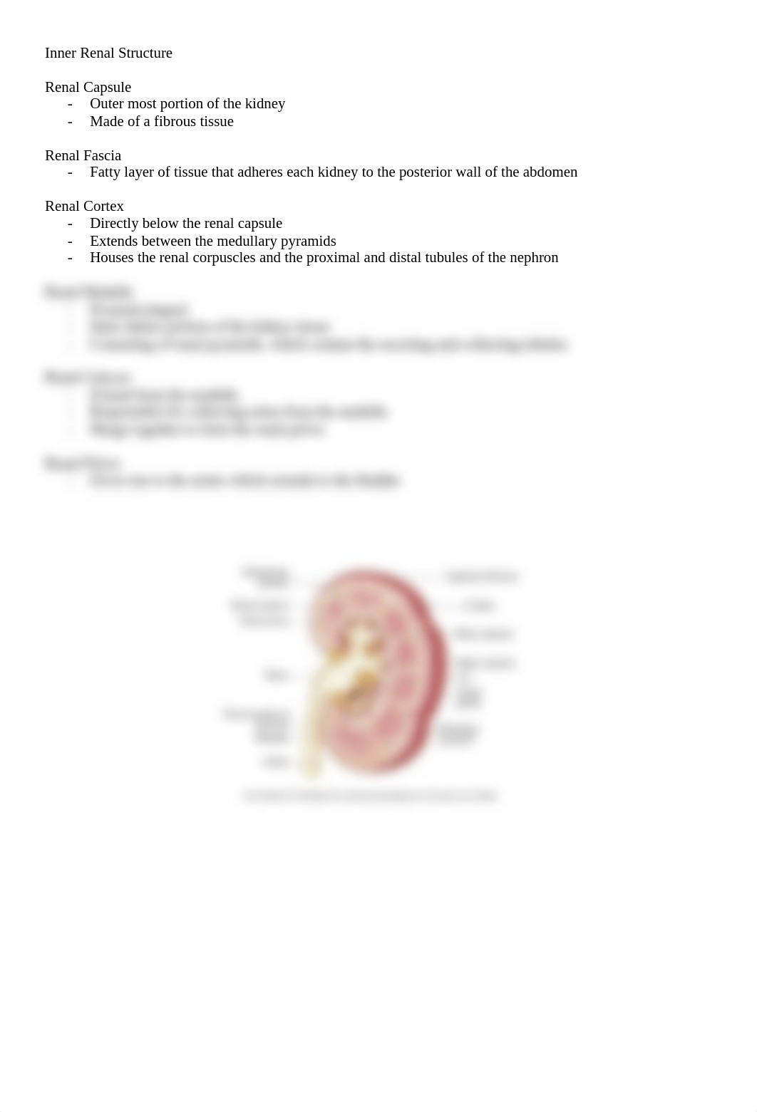 N5315 M10 Advanced Pathophysiology - Renal Anatomy & Physiology .docx_dhamb43o5s7_page2