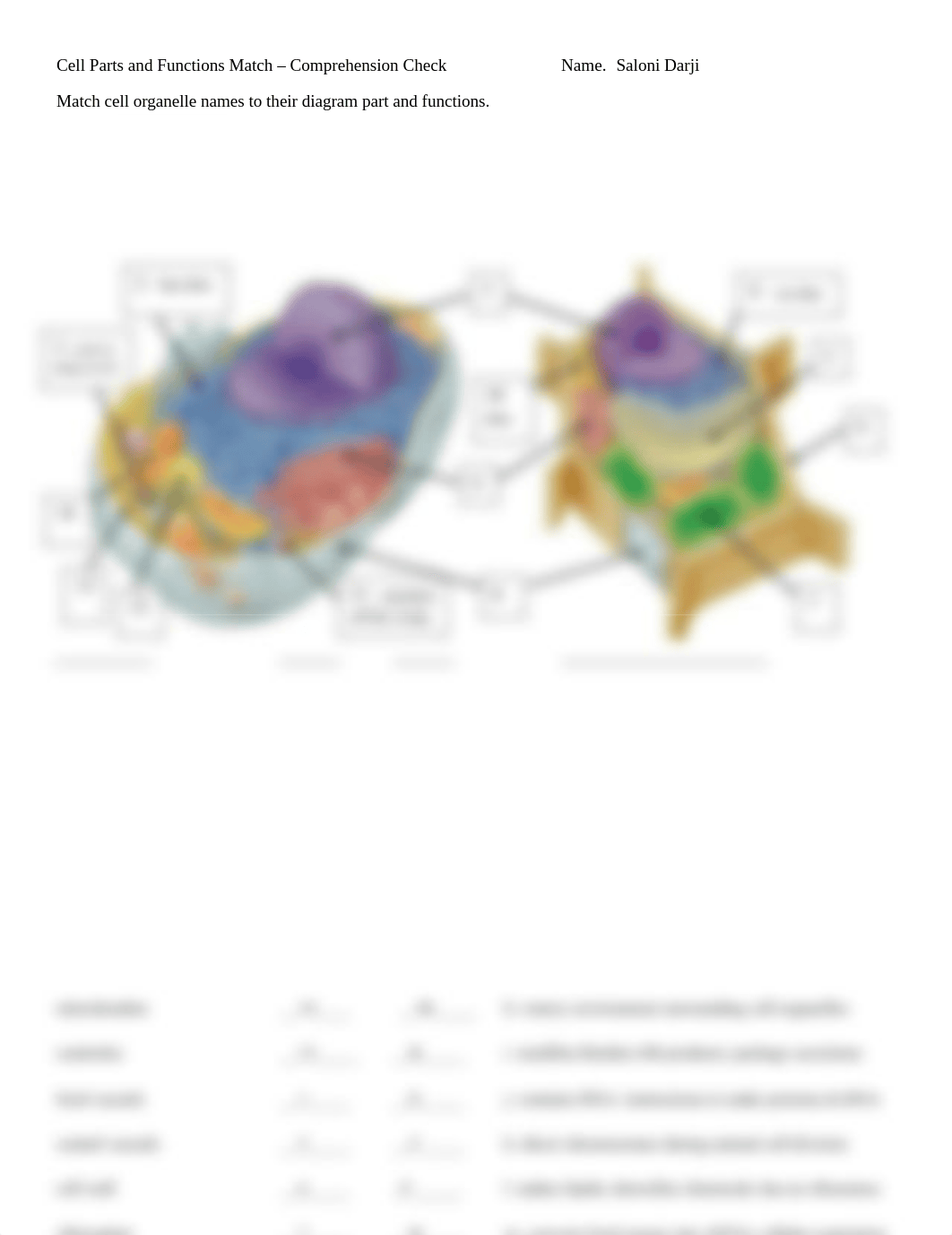 cell parts ^0 functions - comp. check.docx_dhaq7foygqe_page1