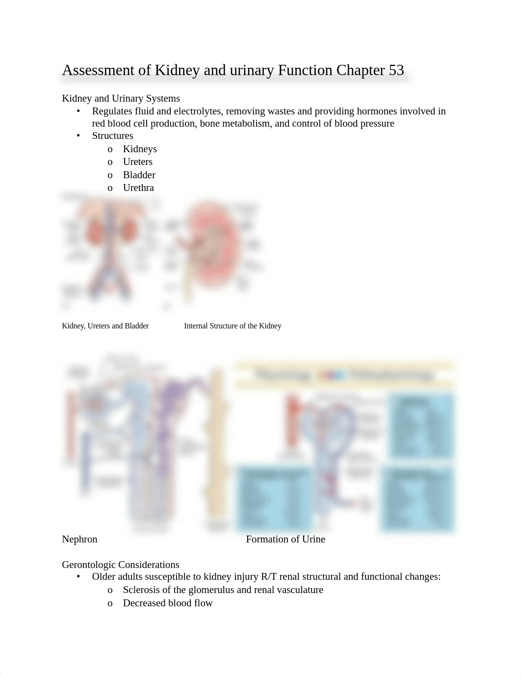 Assessment of Kidney and urinary Function Chapter 53 (1).docx_dhat3pr230p_page1