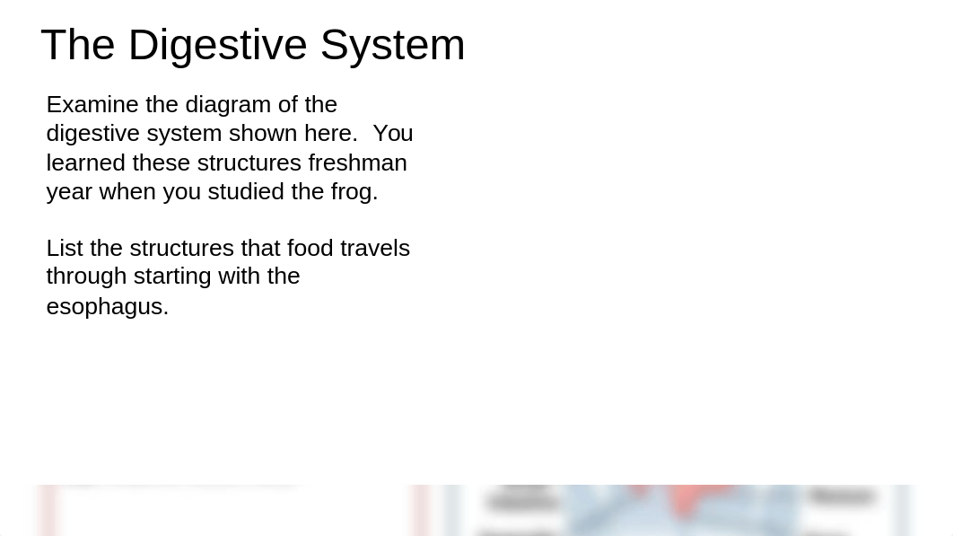 Carlos Bernal-Romero - Digestive System Notes Part 1 - 3683056.pptx_dhb0o8kx4kq_page3