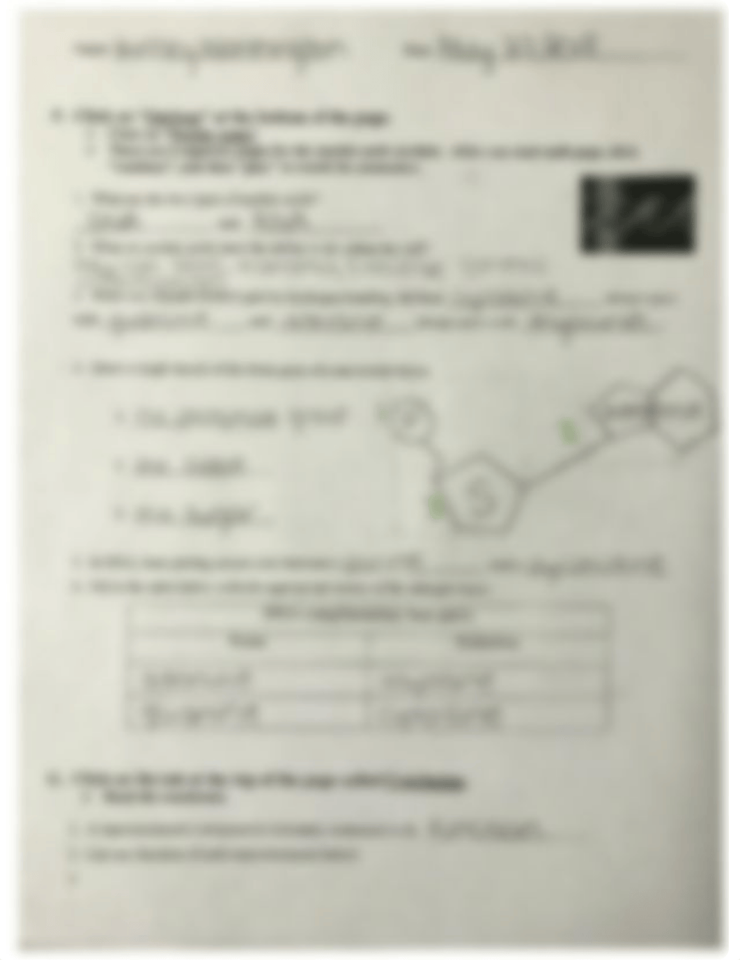 macromolecule webquest.pdf_dhb48uwqtsp_page3