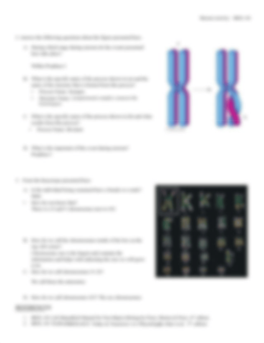 BIOL-101 - Meiosis Activity worksheet (1) Briana Ramirez .pdf_dhbaollhd9x_page2