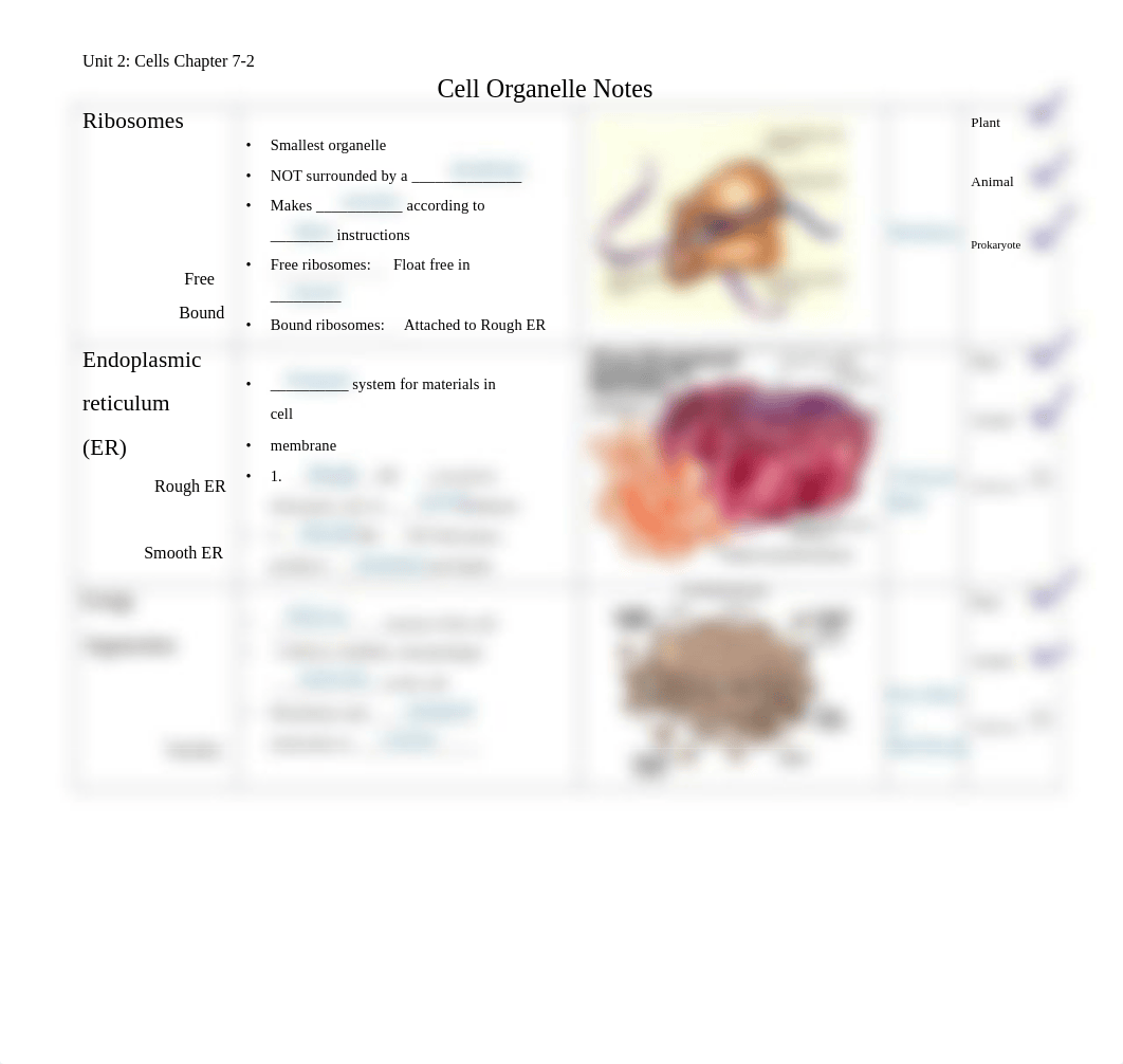 Kami Export - Emmanuel Leo - cellorganellesnotes10kd.pdf_dhbbxlt2yot_page2