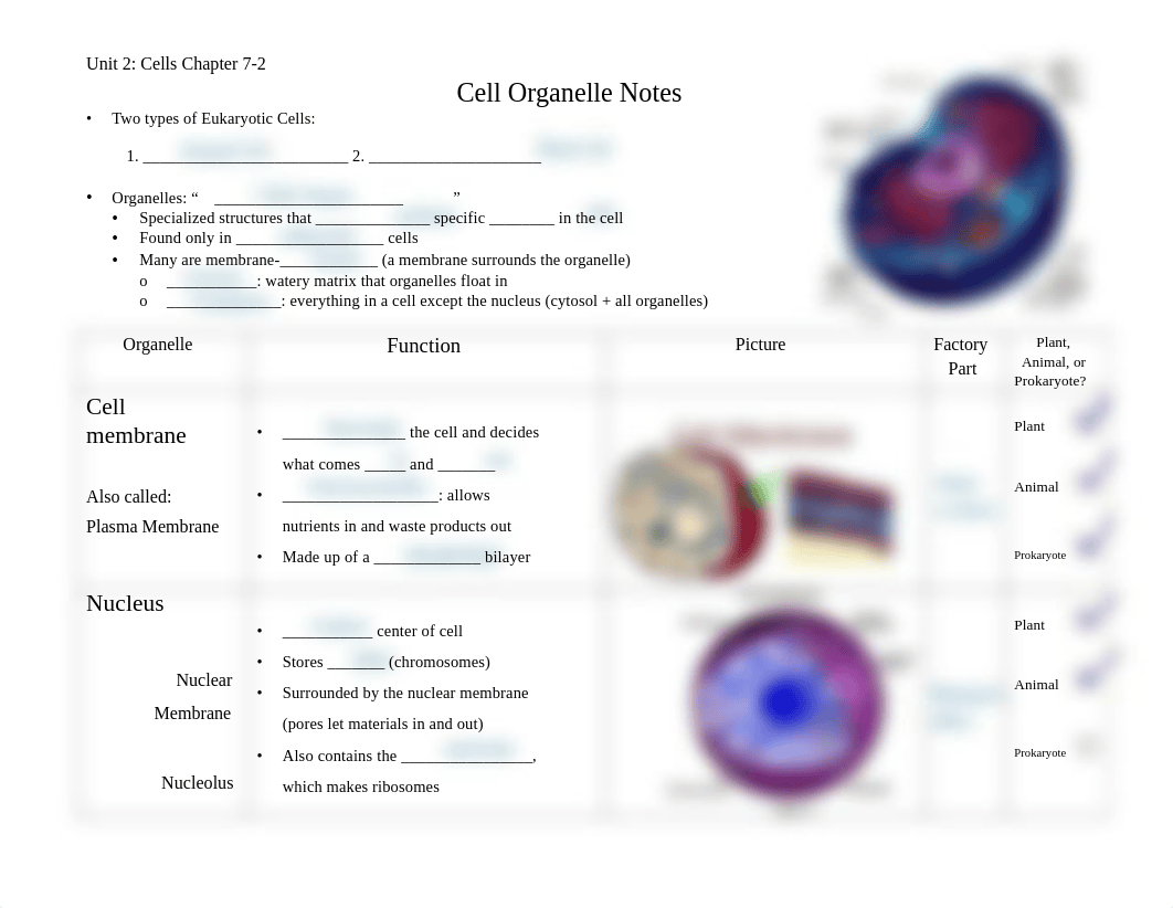 Kami Export - Emmanuel Leo - cellorganellesnotes10kd.pdf_dhbbxlt2yot_page1