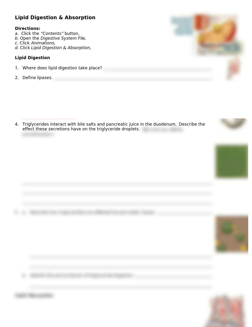 24 Lipid Digestion AEd_dhbh3rskd8u_page1