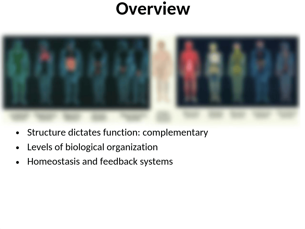 Chapter 1 course overview homeostasis spr20 STUDENT.ppt_dhbkna4sctj_page2