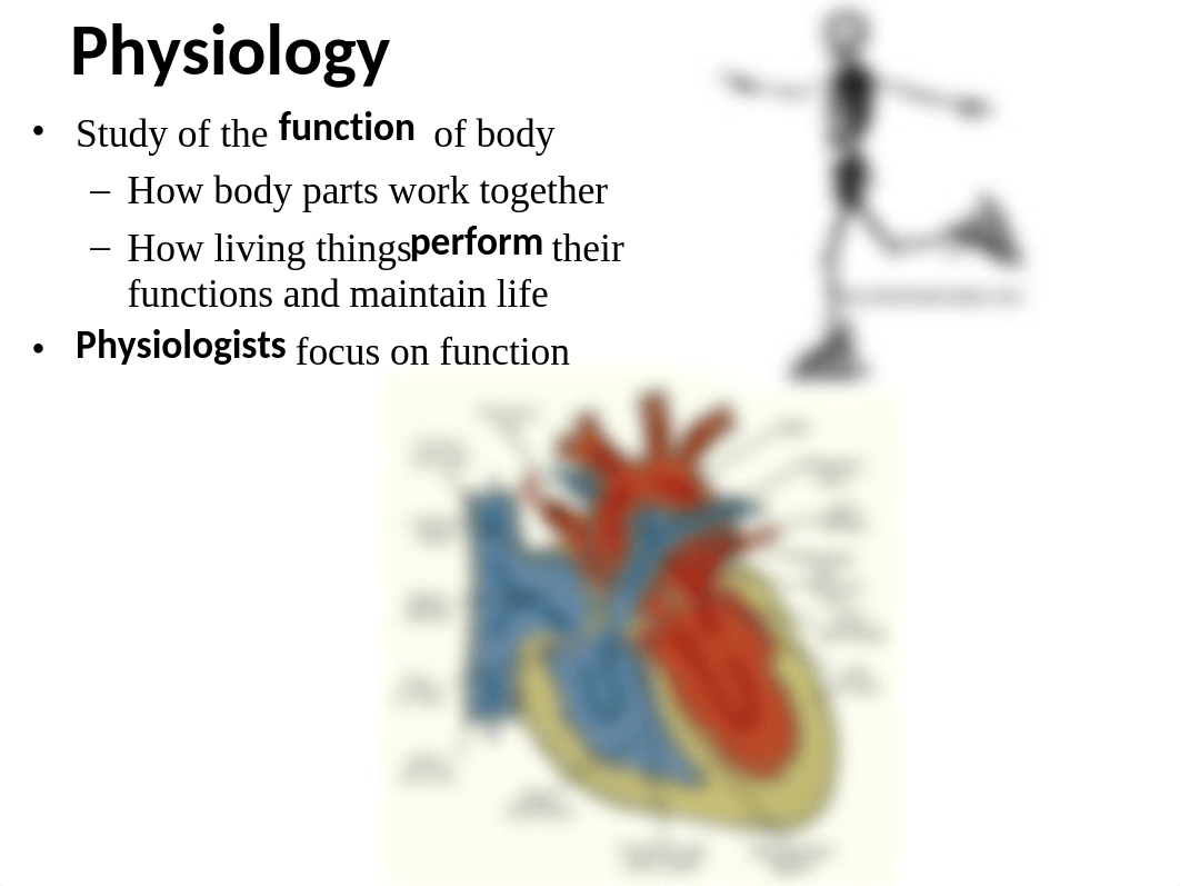 Chapter 1 course overview homeostasis spr20 STUDENT.ppt_dhbkna4sctj_page5