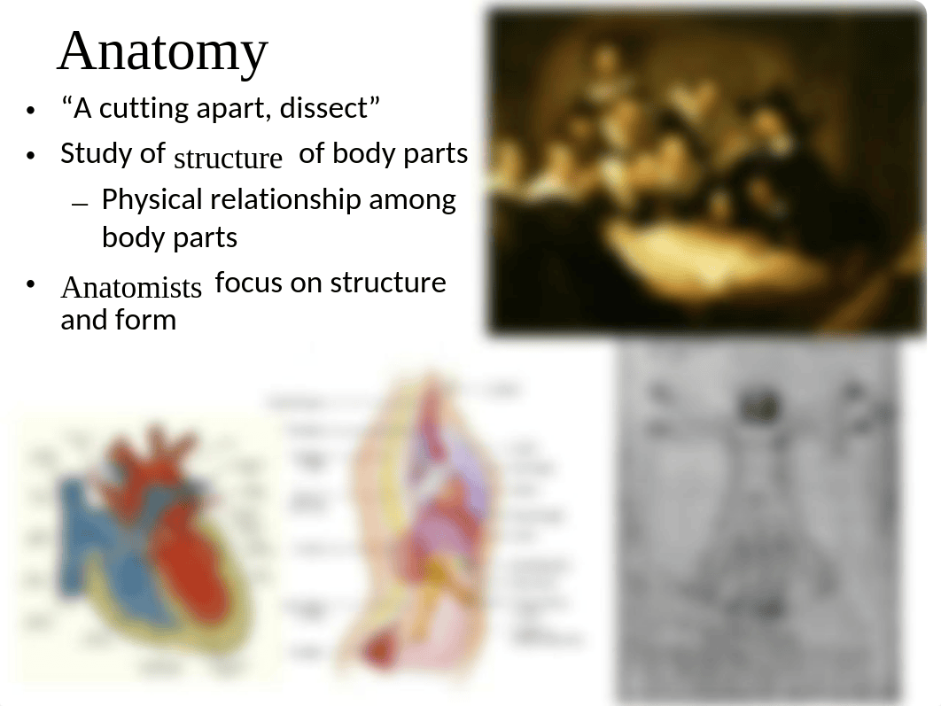 Chapter 1 course overview homeostasis spr20 STUDENT.ppt_dhbkna4sctj_page4