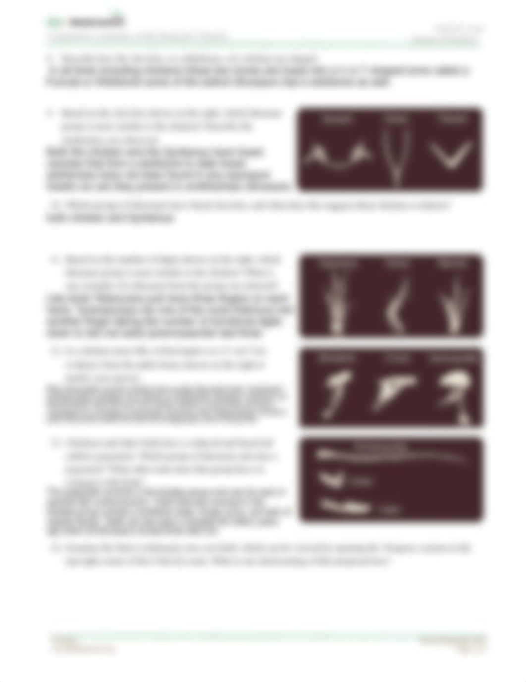 Comparative Anatomy of the Domestic Chicken Student Worksheet.pdf_dhbmtrlhkhw_page2