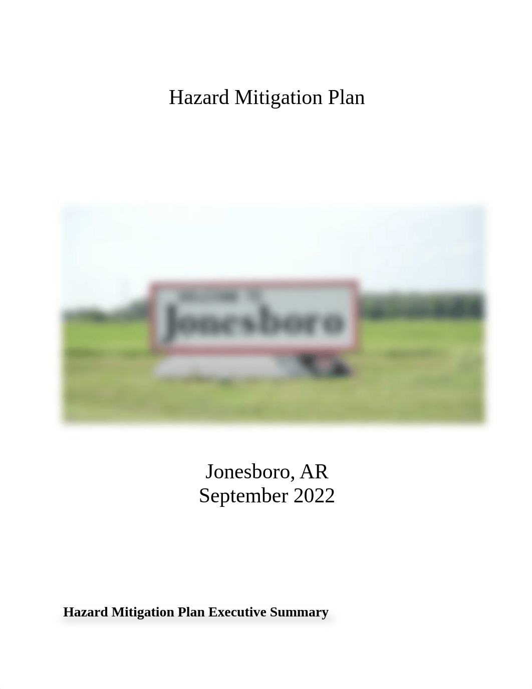 Hazard Mitigation Plan.docx_dhbt7yim3dz_page1