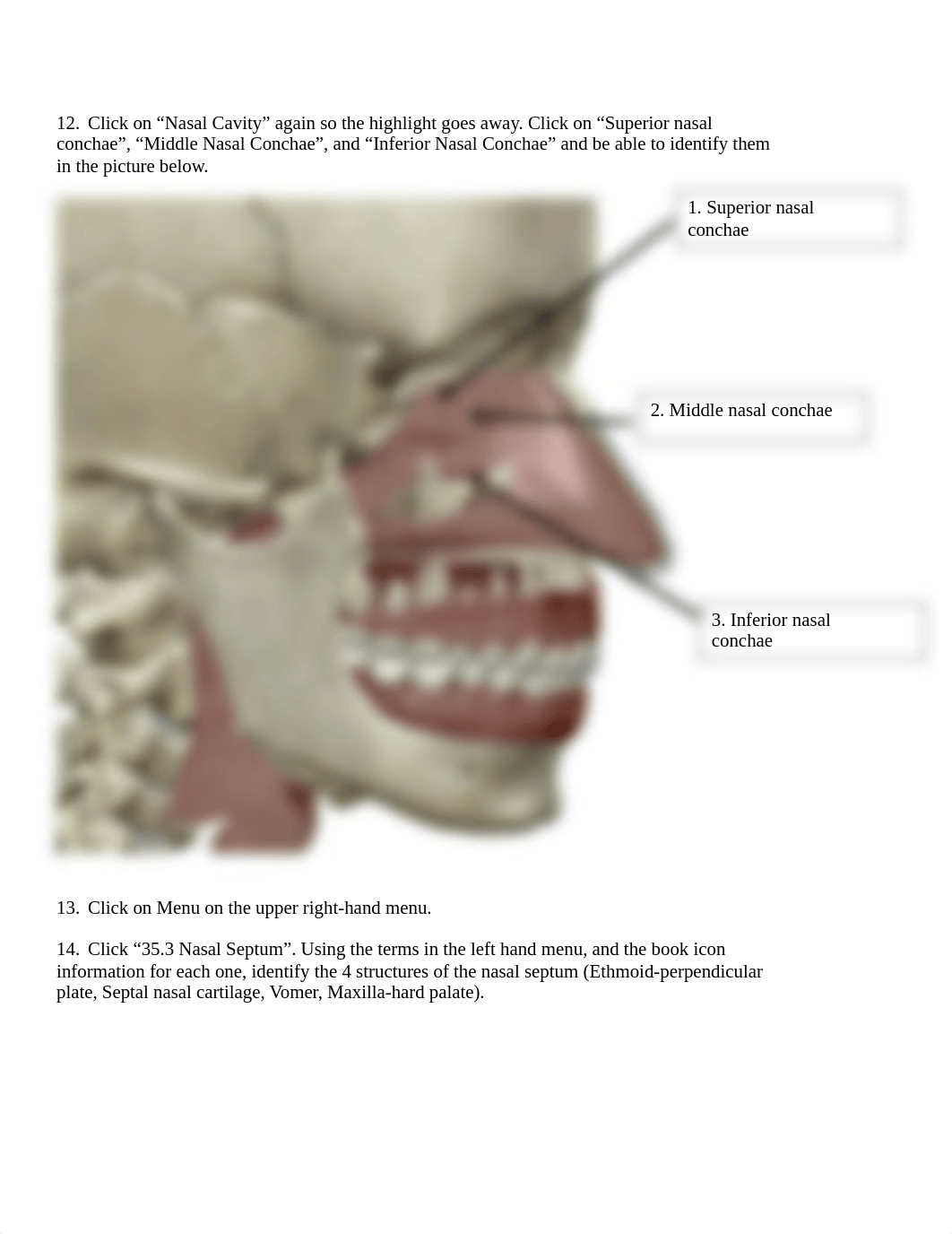 BIO 211 Lab 5.docx_dhbv5n3rz7f_page2