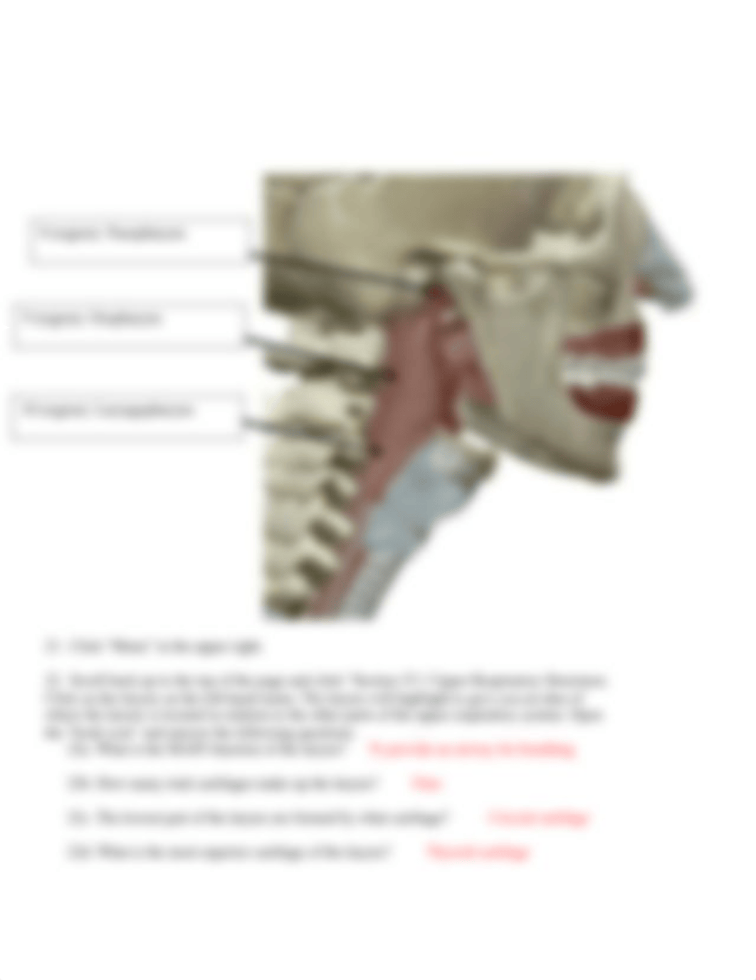 BIO 211 Lab 5.docx_dhbv5n3rz7f_page5