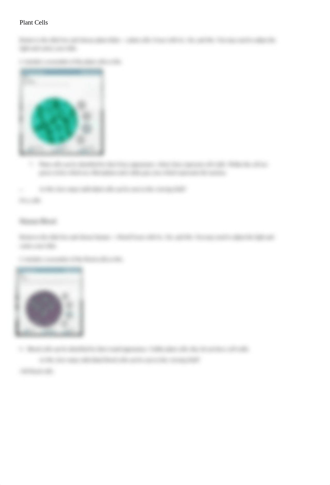 Virtual_Microscope_Lab.docx_dhbvs1ezj5i_page4