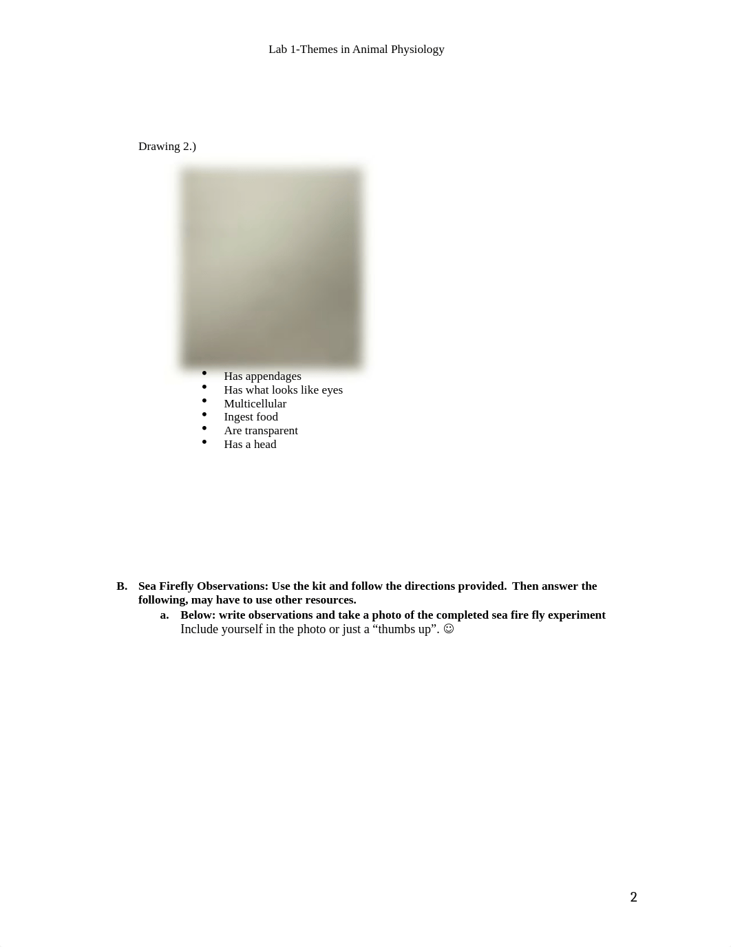 Lab 1 .docx_dhbz1k50qpn_page2