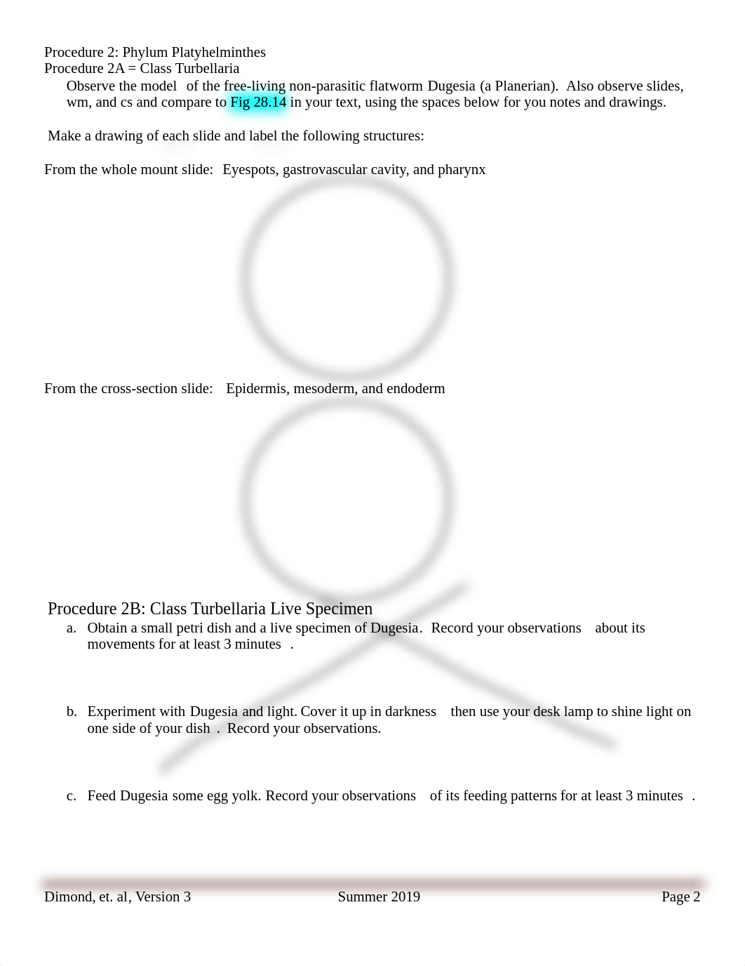 bio2 lab4.pdf_dhc0k48zr86_page2