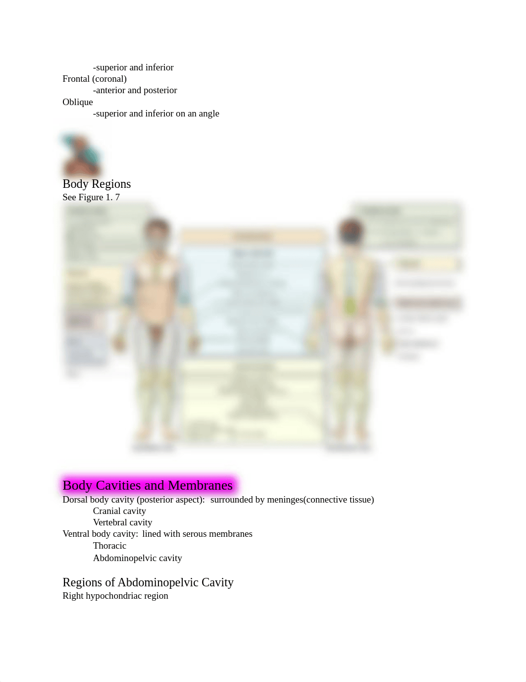 Biology 185 Semester List of  Structures.docx_dhc1pj7ugig_page4