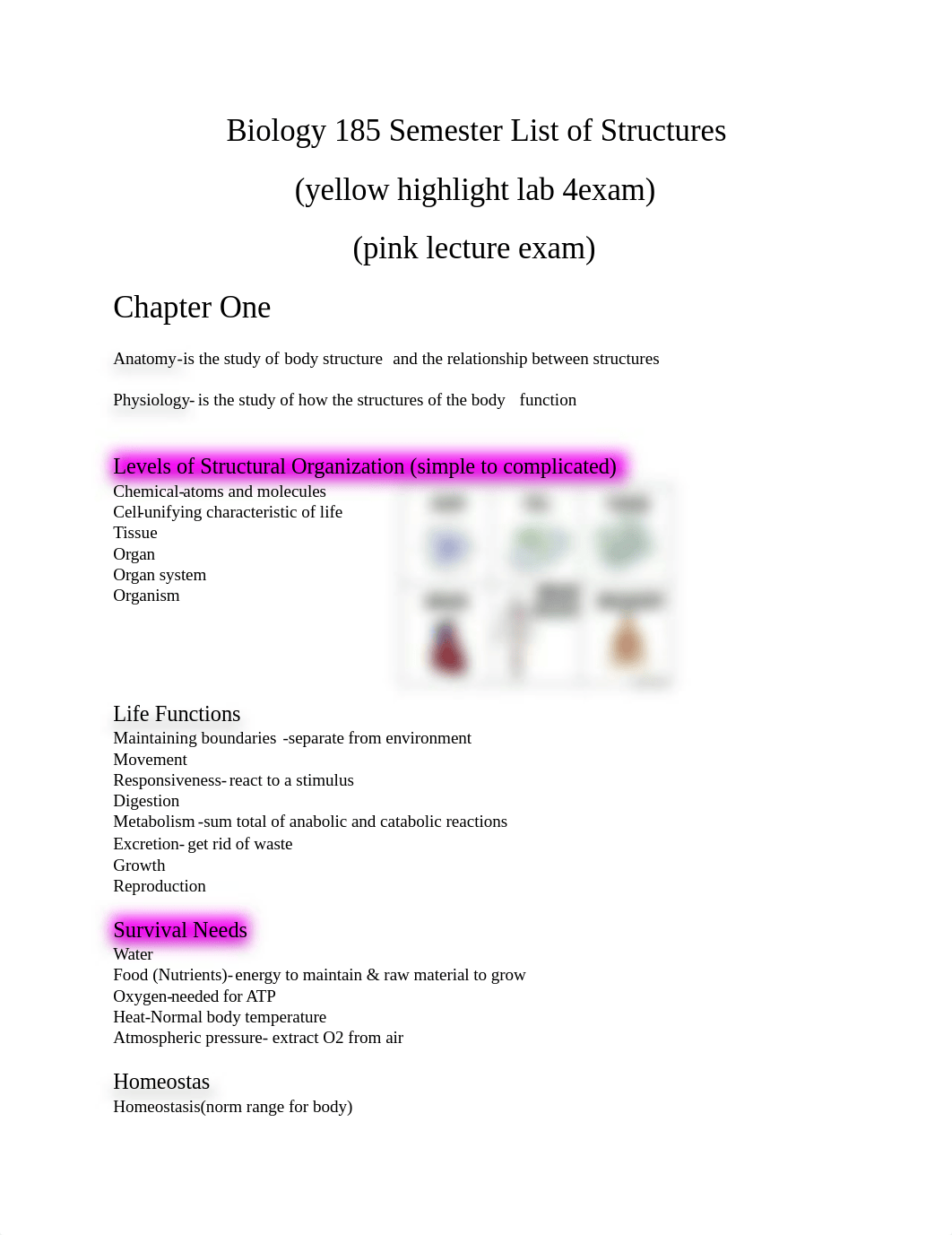 Biology 185 Semester List of  Structures.docx_dhc1pj7ugig_page1