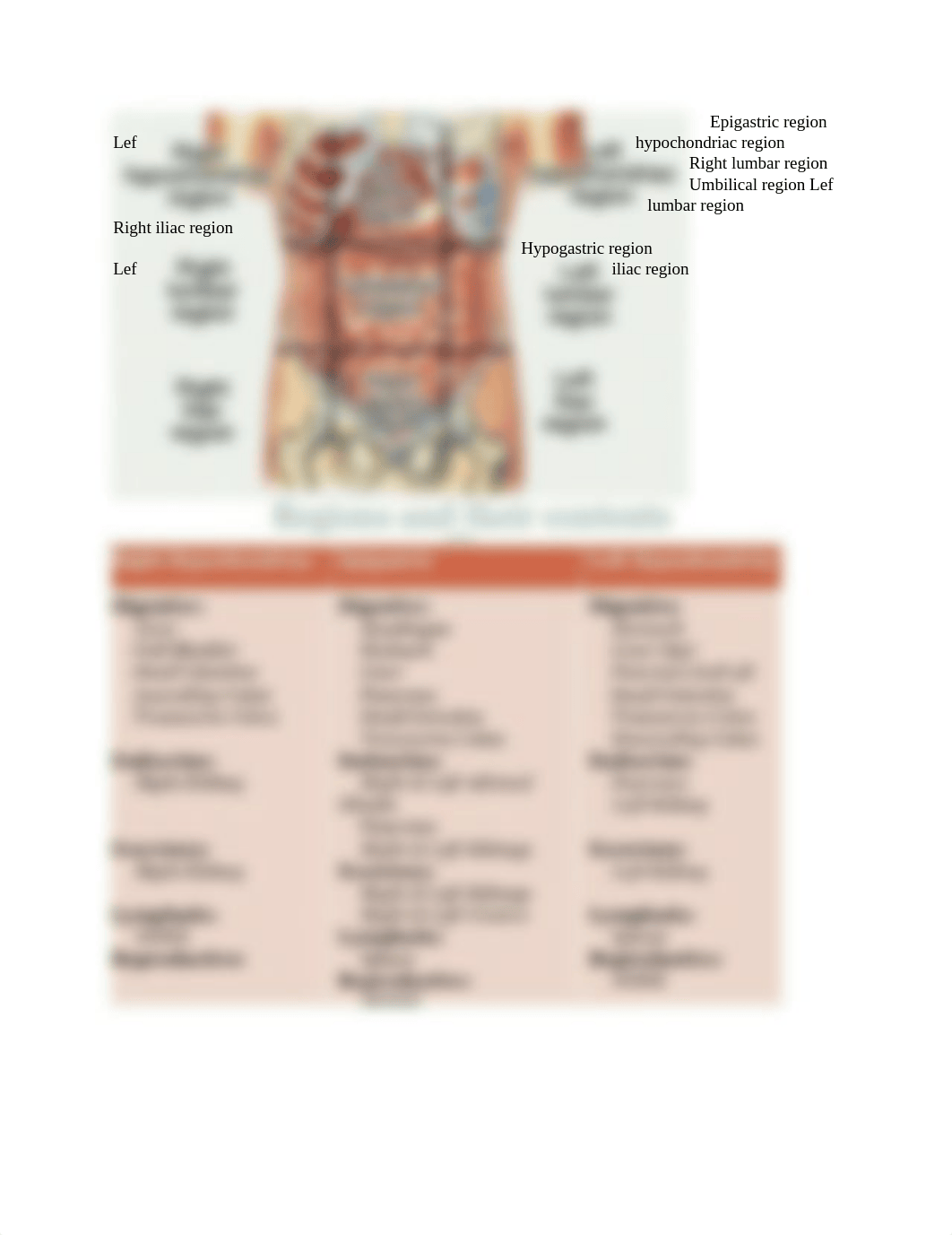 Biology 185 Semester List of  Structures.docx_dhc1pj7ugig_page5