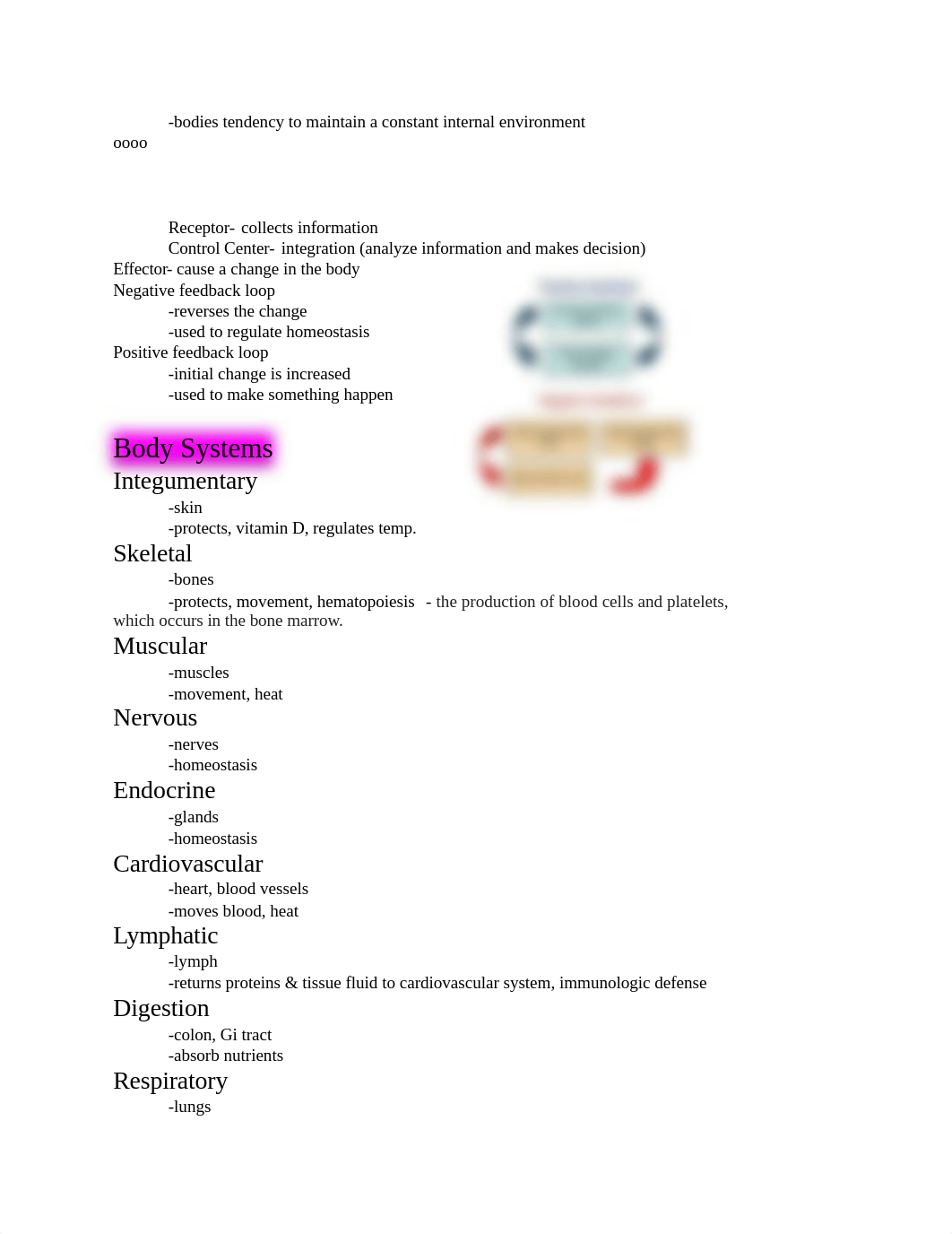 Biology 185 Semester List of  Structures.docx_dhc1pj7ugig_page2