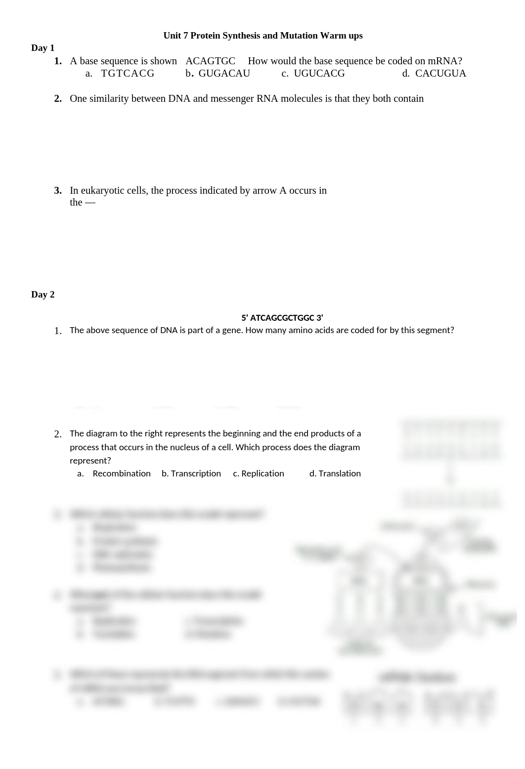 Unit 7 Protein Synthesis and Mutation Warm ups.docx_dhc41on76tg_page1